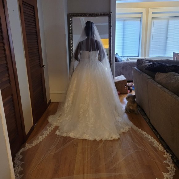 Beautiful Olen Cassini Ivory/Whisper Pink Strapless Ball Gown, Size 12 - Picture 4 of 6